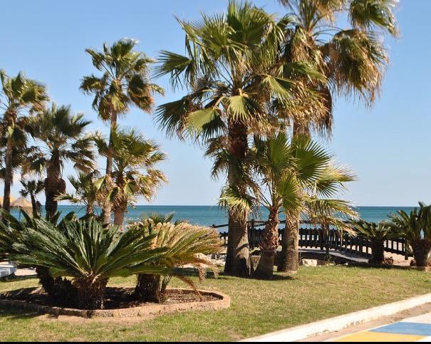 Perla Del Sol 1 L Apartamento Torremolinos Exterior foto